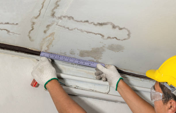 Reliable Structural Drying contractor in Levant, ME by Water Damage Irwin